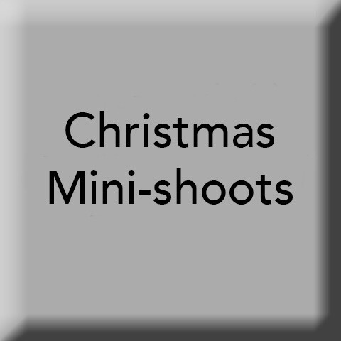 Christmas Mini-Shoots