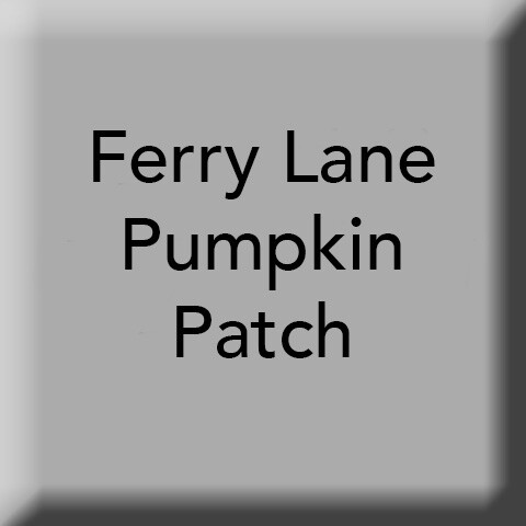 Ferry Lane Pumpkin Patch