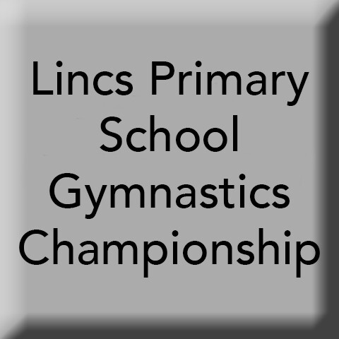 Lincs Primary School's Gymnastics Championships